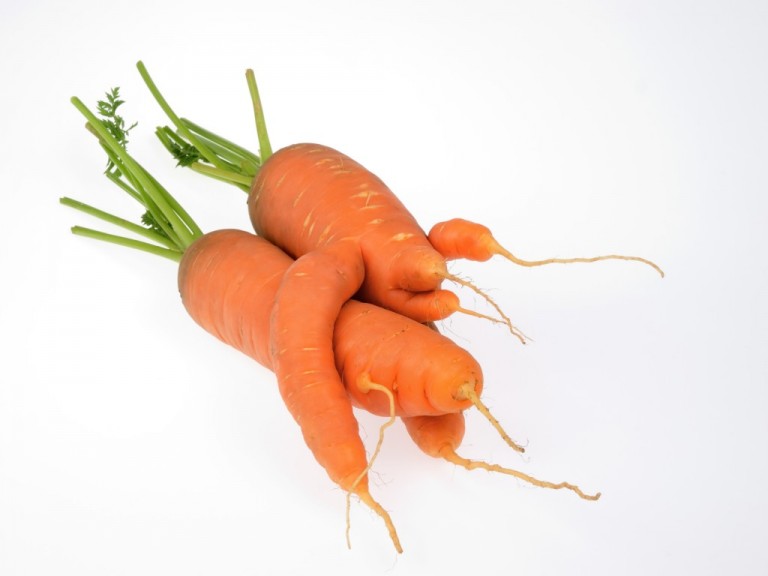 Opinions_ugly-produce-768x576